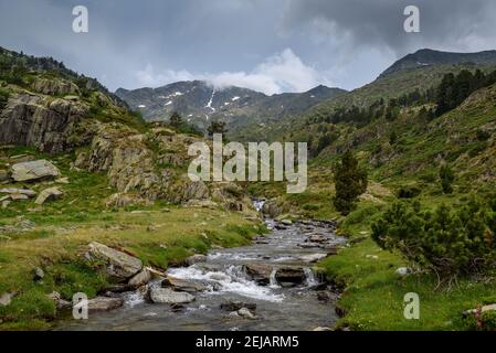 Mont-roig Gipfelblick vom Zufahrtsweg durch das Tal (Naturpark Alt Pirineu, Pyrenäen, Katalonien, Spanien) Stockfoto