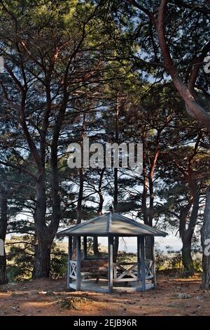 Waldkiosk im Wald von Dosa, in der Nähe von Parakila Dorf, auf der Insel Lesvos, Nördliche Ägäis, Griechenland, Europa Stockfoto