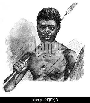 Junger afrikanischer Bantu-Krieger mit Speer und Schild. Kultur und Geschichte Afrikas. Vintage antike Schwarz-Weiß-Illustration. 19th Jahrhundert. Stockfoto