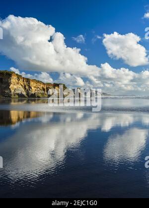 Neuseeland, Nordinsel, Three Sisters. Die einzigartigen Felsformationen bekannt als die drei Schwestern und der Elefant, an der Nord-Taranaki-Küste Stockfoto
