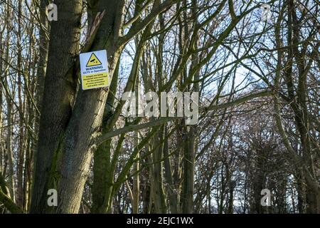 CCTV-Schild auf einem Baum Warnung von CCTV in Betrieb in einem Wald, Nottinghamshire, England, Großbritannien Stockfoto