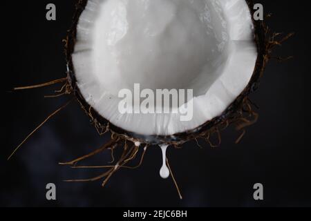 Frisch geöffnete Kokosnuss mit einem Strom Kokosmilch. Gesunde Ernährung und Ernährung Konzept. Stockfoto