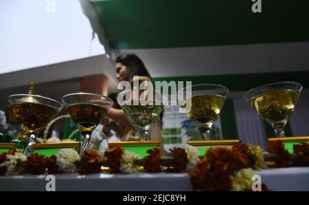 Guwahati, Assam, Indien. Februar 2021, 22nd. Verschiedene Arten von Tee Assam während der Ausgabe 4th Assamese Tee Zeremonie in Guwahati Tea Auction Center in Guwahati Assam Indien am Montag 21st Februar 2021 angezeigt.Assam ist einer der größten Tee wachsenden Staat der Welt und Assam Tee halten einen wichtigen Markt in der Welt. Quelle: Dasarath Deka/ZUMA Wire/Alamy Live News Stockfoto