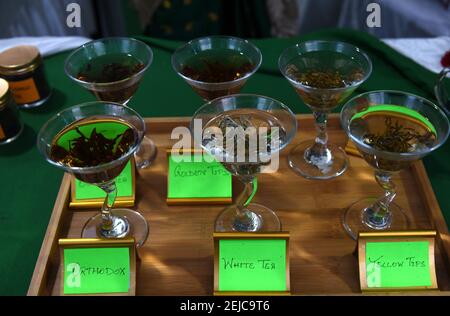 Guwahati, Assam, Indien. Februar 2021, 22nd. Verschiedene Arten von Tee Assam während der Ausgabe 4th Assamese Tee Zeremonie in Guwahati Tea Auction Center in Guwahati Assam Indien am Montag 21st Februar 2021 angezeigt.Assam ist einer der größten Tee wachsenden Staat der Welt und Assam Tee halten einen wichtigen Markt in der Welt. Quelle: Dasarath Deka/ZUMA Wire/Alamy Live News Stockfoto