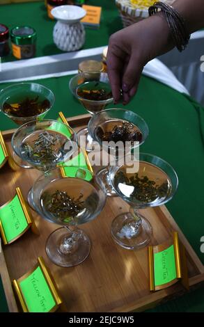 Guwahati, Assam, Indien. Februar 2021, 22nd. Verschiedene Arten von Tee Assam während der Ausgabe 4th Assamese Tee Zeremonie in Guwahati Tea Auction Center in Guwahati Assam Indien am Montag 21st Februar 2021 angezeigt.Assam ist einer der größten Tee wachsenden Staat der Welt und Assam Tee halten einen wichtigen Markt in der Welt. Quelle: Dasarath Deka/ZUMA Wire/Alamy Live News Stockfoto