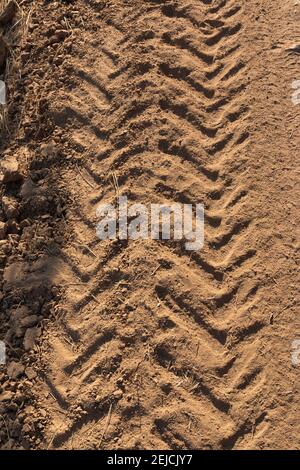 Traktorenwege auf trockenem und trockenem Gelände im Süden Andalusiens In Spanien Stockfoto