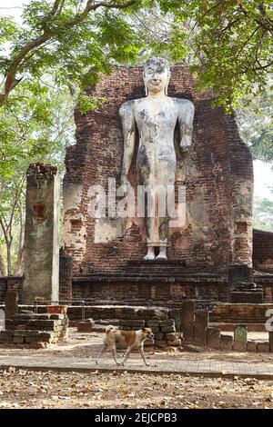 Sukhothai-Stil stehend Buddha im Wat Phra Si Iriyabot, Kamphaeng Phet, Thailand. Das Bild ist neun Meter hoch und wurde wahrscheinlich im Jahr 15th oder gebaut Stockfoto