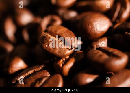 Makro-Nahaufnahme von isolierten Haufen frisch gerösteten Bio-nassen Kaffee Bohnen (Fokus auf Mitte) Stockfoto