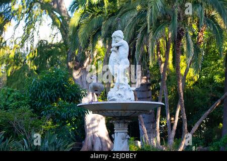 Gardens- Cape Town, South Africa - 19-02-2021 Ägyptische Gans stehen auf einem Steinwasserspiel in den Cape Town Gardens. Bäume stehen im Hintergrund. Stockfoto