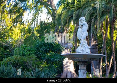 Gardens- Cape Town, South Africa - 19-02-2021 Ägyptische Gans stehen auf einem Steinwasserspiel in den Cape Town Gardens. Bäume stehen im Hintergrund. Stockfoto