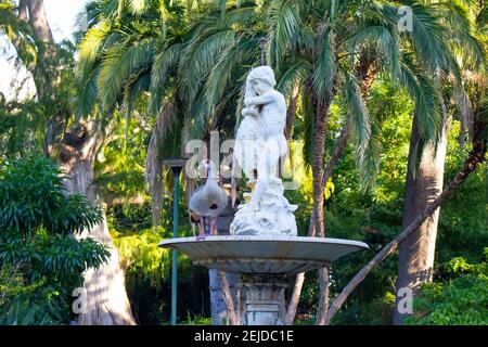 Gardens- Cape Town, South Africa - 19-02-2021 Ägyptische Gans stehen auf einem Steinwasserspiel in den Cape Town Gardens. Bäume stehen im Hintergrund. Stockfoto