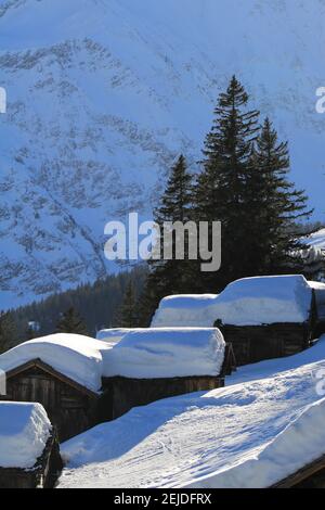 Holzschuppen mit viel Schnee bedeckt. Stockfoto