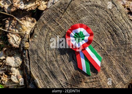 Nahaufnahme Trikolorrosette Symbol des ungarischen Nationaltages 15th März . Stockfoto