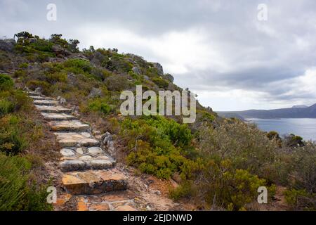 Cape Point - Kapstadt, Südafrika - 19-02-2021 Steintreppe führt die Seite des Berges in Cape Point. Umgeben von üppiger Pflanzenwelt. Stockfoto