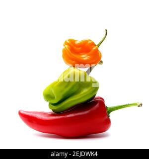 Reife bunte karibische Paprika (Capsicum chinense) Isoliert auf weißem Hintergrund Stockfoto