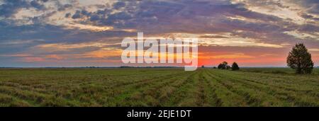 Wolken über der Landschaft bei Sonnenaufgang, Prairie Ridge State Natural Area, Marion County, Illinois, USA Stockfoto