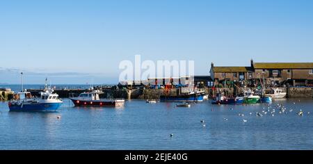 Lyme Regis, Dorset, Großbritannien. Februar 2021, 22nd. UK Wetter: Herrliche Frühlingssonne und klaren blauen Himmel am Badeort Lyme Regis. Kredit: Celia McMahon/Alamy Live Nachrichten Stockfoto