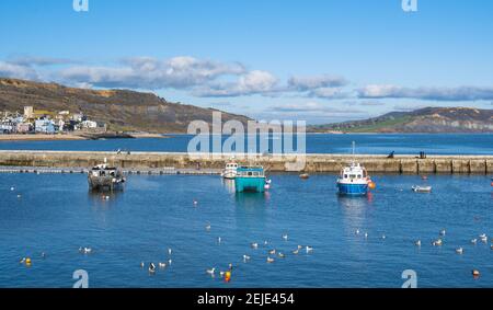 Lyme Regis, Dorset, Großbritannien. Februar 2021, 22nd. UK Wetter: Herrliche Frühlingssonne und klaren blauen Himmel am Badeort Lyme Regis. Kredit: Celia McMahon/Alamy Live Nachrichten Stockfoto