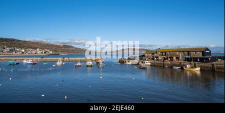 Lyme Regis, Dorset, Großbritannien. Februar 2021, 22nd. UK Wetter: Herrliche Frühlingssonne und klaren blauen Himmel am Badeort Lyme Regis. Kredit: Celia McMahon/Alamy Live Nachrichten Stockfoto