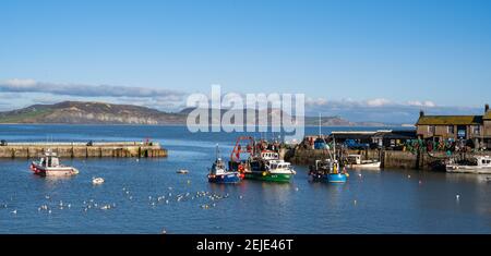 Lyme Regis, Dorset, Großbritannien. Februar 2021, 22nd. UK Wetter: Herrliche Frühlingssonne und klaren blauen Himmel am Badeort Lyme Regis. Kredit: Celia McMahon/Alamy Live Nachrichten Stockfoto