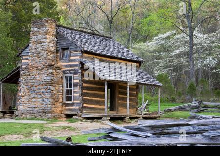 John Oliver Hütte in einem Wald, Cades Cove, Great Smoky Mountains National Park, Tennessee, USA Stockfoto