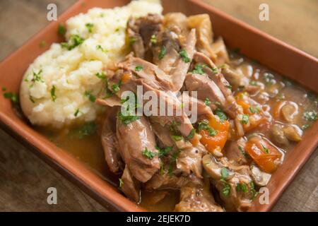 Ein hausgemachter Wildeintopf aus einem wilden Damhirsch, der in einem langsamen Herd mit Knoblauch, Zwiebeln, Karotten, Pilzen und Rinderbrühe geschmort wurde. It Stockfoto