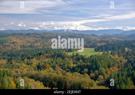 Bäume auf einer Landschaft mit Berg im Hintergrund, Mt Hood, Jonsrud Aussichtspunkt, Sandy, Clackamas County, Oregon, USA Stockfoto