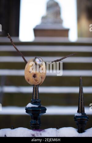 Lustiger schottischer Humor, DIY Mr. Potato Head mit Bierflaschengesicht und Stockarmen vom Scott Monument, Edinburgh. Stockfoto