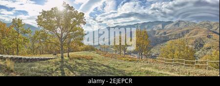 Bäume in einem Tal von Tornavacas, Valle del Jerte, Caceres, Caceres Provinz, Extremadura, Spanien Stockfoto