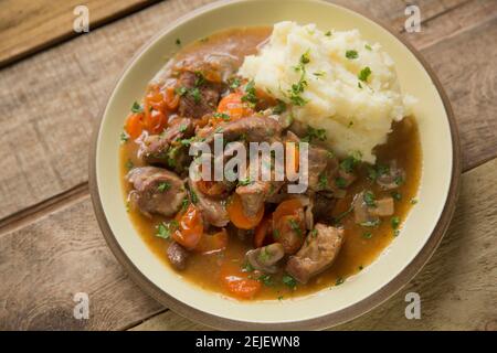 Ein hausgemachter Wildeintopf aus einem wilden Damhirsch, der in einem langsamen Herd mit Knoblauch, Zwiebeln, Karotten, Pilzen und Rinderbrühe geschmort wurde. It Stockfoto