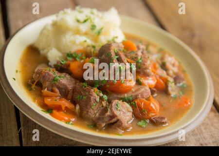 Ein hausgemachter Wildeintopf aus einem wilden Damhirsch, der in einem langsamen Herd mit Knoblauch, Zwiebeln, Karotten, Pilzen und Rinderbrühe geschmort wurde. It Stockfoto