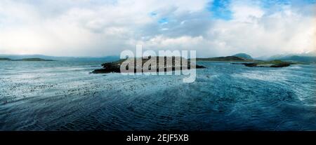 Insel der arktischen Vögel im Meer, Beagle Kanal, Ushuaia, Tierra del Fuego Provinz, Patagonien, Argentinien Stockfoto