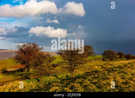 Wand und Bäume auf Longstone Edge bei Bakewell im Peak District National Park Derbyshire England UK mit Regenbogen in stürmischem Himmel und dunklen Wolken. Stockfoto