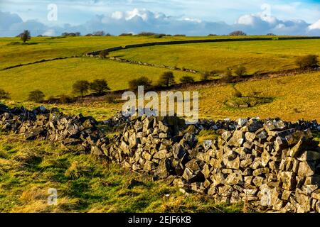 Trockenmauern und Bäume auf Longstone Edge bei Bakewell im Peak District National Park Derbyshire England mit stürmischem Himmel und dunklen Wolken. Stockfoto