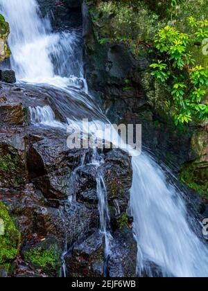 Wasserfall in Lumsdale in der Nähe von Matlock in der Derbyshire Dales Gegend Des Peak District England UK Stockfoto