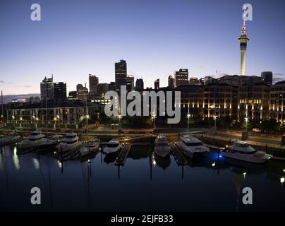 Yachten am frühen Morgen im Viaduct Basin, Auckland, North Island, Neuseeland Stockfoto
