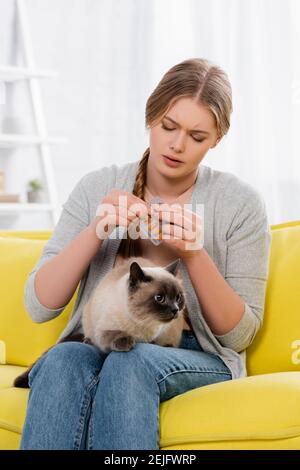 Frau hält Blister mit Pillen während der Allergie in der Nähe von siam Katze Stockfoto