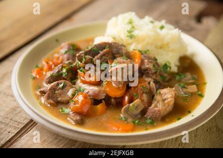 Ein hausgemachter Wildeintopf aus einem wilden Damhirsch, der in einem langsamen Herd mit Knoblauch, Zwiebeln, Karotten, Pilzen und Rinderbrühe geschmort wurde. It Stockfoto