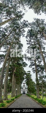 Bäume auf beiden Seiten auf einem Weg zu einer Kirche, Sete Cidades, Ponta Delgada, Sao Miguel Island, Azoren, Portugal Stockfoto