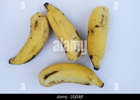 Kleine Größe gelbe Bananen leckere Kardamom Banane auch als Elaichi kela in hindi bekannt. Gelbe Bananenbündel auf weißem Hintergrund Stockfoto