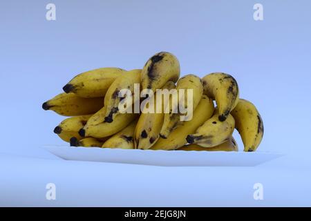 Haufen von leckeren Cardamom Banane auch als Elaichi kela in hindi bekannt. Gelbe Bananenbündel auf weißem Hintergrund Stockfoto