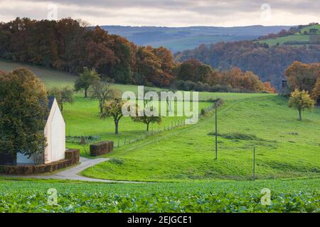 Landschaft auf dem Loreley Felsen im Herbst, Sankt Goarshausen, Rheinland-Pfalz, Deutschland Stockfoto