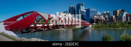 Blick auf Peace Bridge mit Skylines im Hintergrund, Bow River, Calgary, Alberta, Kanada Stockfoto