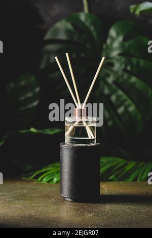 Aroma-Schilf-Diffusor, Raumduft-Flasche mit Rattan-Sticks und Duft von Frische auf dunklem Hintergrund mit grünen Palmblättern Stockfoto