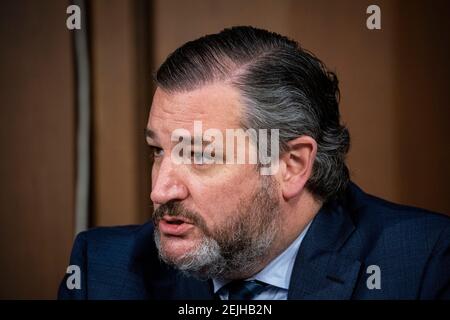 Washington, USA. Februar 2021, 22nd. WASHINGTON, DC - 22. FEBRUAR: Senator Ted Cruz (R-TX) spricht während der Bestätigungsverhandlung des Generalstaatsanwalts Merrick Garland vor dem Justizausschuss des Senats im Hart Senate Office Building am 22. Februar 2021 in Washington, DC. Garland war zuvor beim Oberrichter des US-Berufungsgerichts für den District of Columbia Circuit tätig.(Foto: Al Drago/Pool/Sipa USA) Quelle: SIPA USA/Alamy Live News Stockfoto