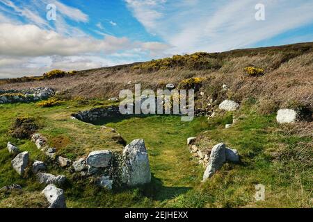 Die Holyhead Mountain Hut Circles sind die Überreste einer Gruppe prähistorischer Hütten in der Nähe von Trearddur Bay auf Holy Island, Anglesey, Wales. Stockfoto