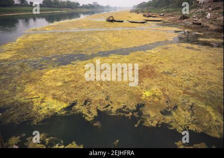 Jalangi River ist derzeit in Gefahr. Einst war Jalangi ein voll fließender Fluss, aber jetzt ist der Fluss voller Sedimente und hat seine Tiefe verloren. Der Fluss bricht jeden Tag seine Nebenpartien. Der intensive Druck wachsender Populationen, Industrialisierung, uneingeschränkter Ausgrabungen und ungeplanter Entwicklung zeigt sich sowohl in der Qualität als auch in der Quantität des Wassers, das die Flüsse liefern. Tehatta, Westbengalen, Indien. Stockfoto