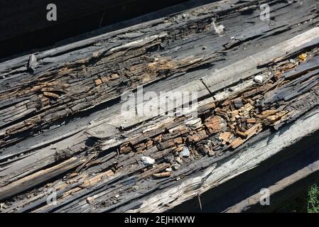 Alte schwarz-braune Holzstangen von der Bahnlinie, gebrochen und gerissen von der Zeit. Sehr einzigartiger hölzerner Hintergrund mit ungewöhnlicher Farbe unter Sonnenlicht. Stockfoto