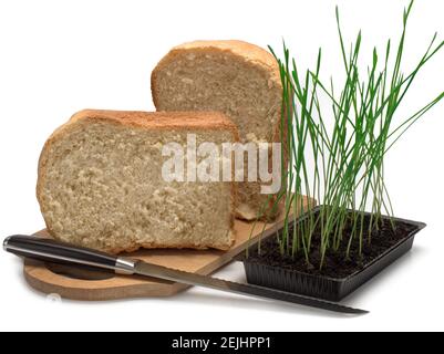 Frisches Brot auf einem Holzbrett Stockfoto