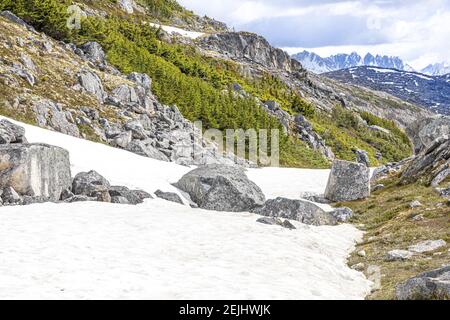 Schnee liegt Anfang Juni an der Grenze zwischen Kanada und den USA am Klondike Highway nordöstlich von Skagway, Alaska, USA Stockfoto